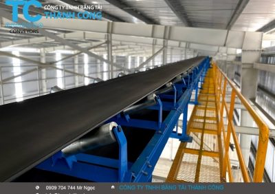 Đặc điểm của băng tải liên tục là gì?