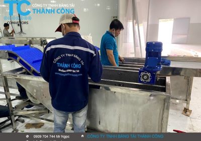 Cung cấp băng tải xích nhựa chất lượng cao