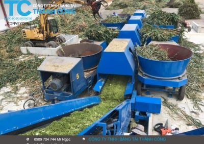 Trang Trại vinamilk Tây Ninh
