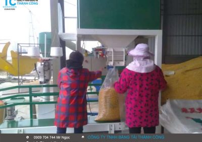 Tôi nên chú ý điều gì khi mua cân đóng bao điện tử?