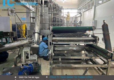 Dự án vít tải bột thực phẩm